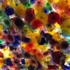 Meet your Posher, Justice